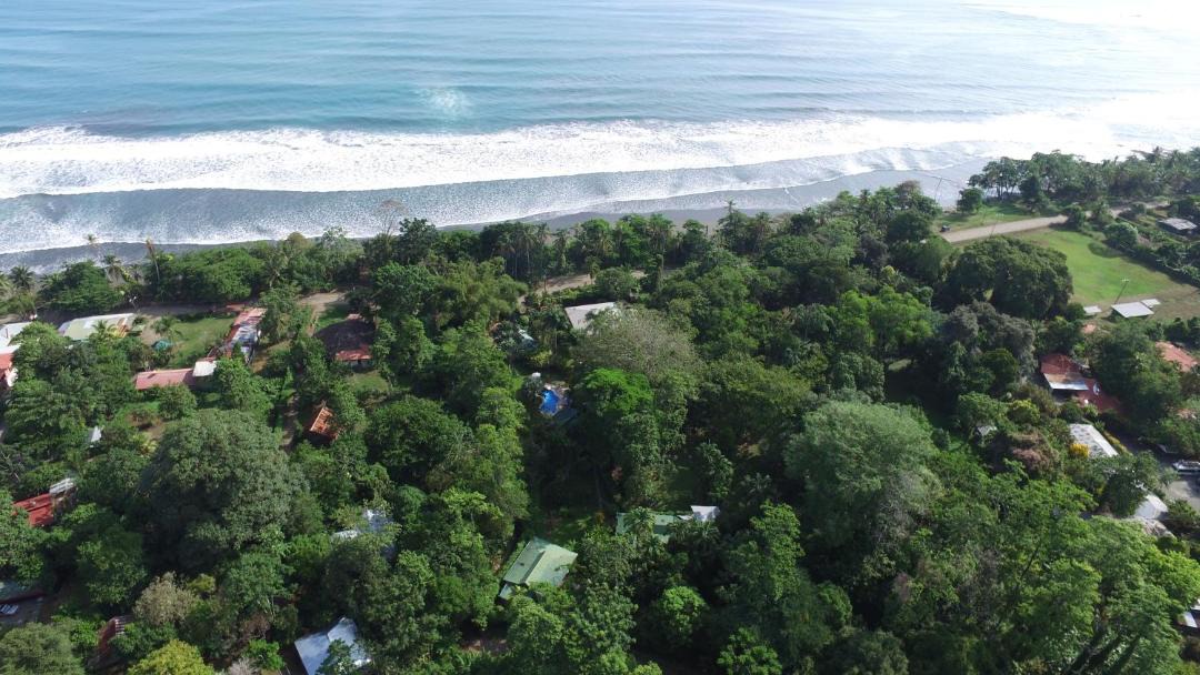 Photo of Others in Cahuita