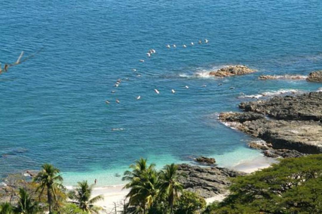 Photo of Others in Montezuma