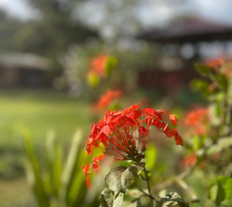 Photo of Others in Rancho Quemado