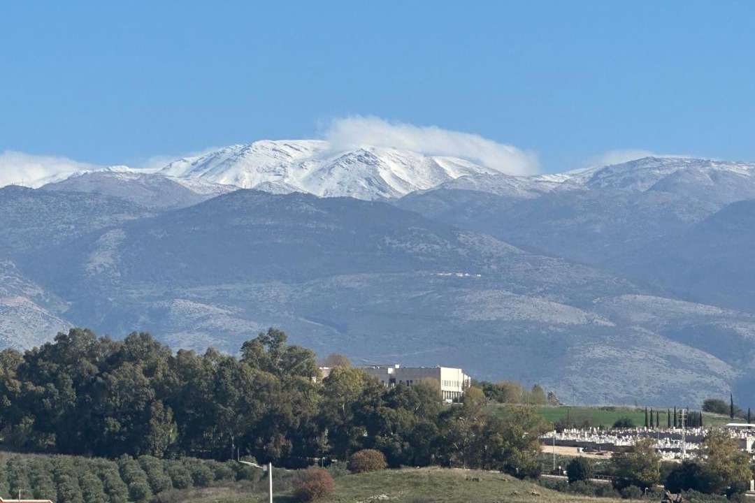 Photo of Others in Qiryat Shemona