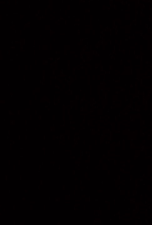 Photo of Others in Wadi Rum