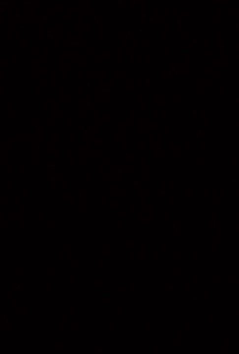 Photo of Others in Wadi Rum