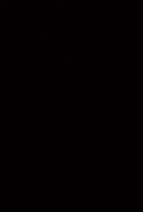 Photo of Others in Wadi Rum