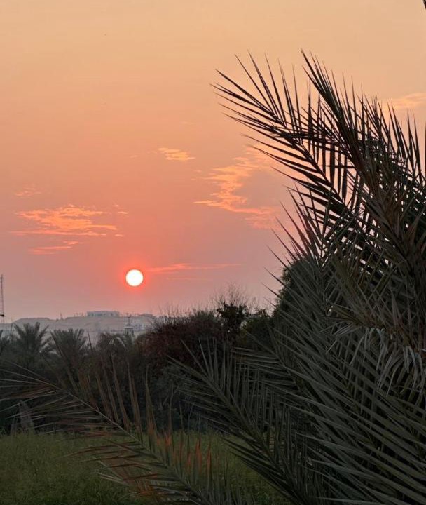 Photo of Others in Liwa
