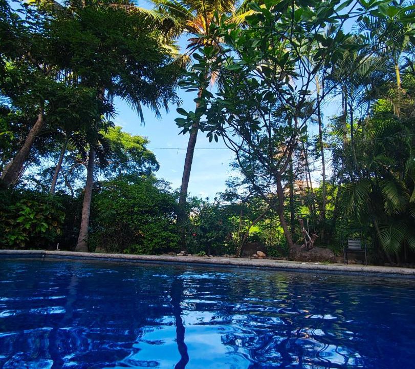 Photo of Others in Playa Ocotal