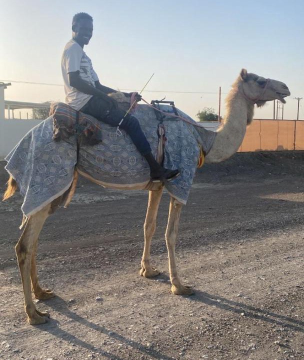 Photo of Others in Ras Al Khaimah