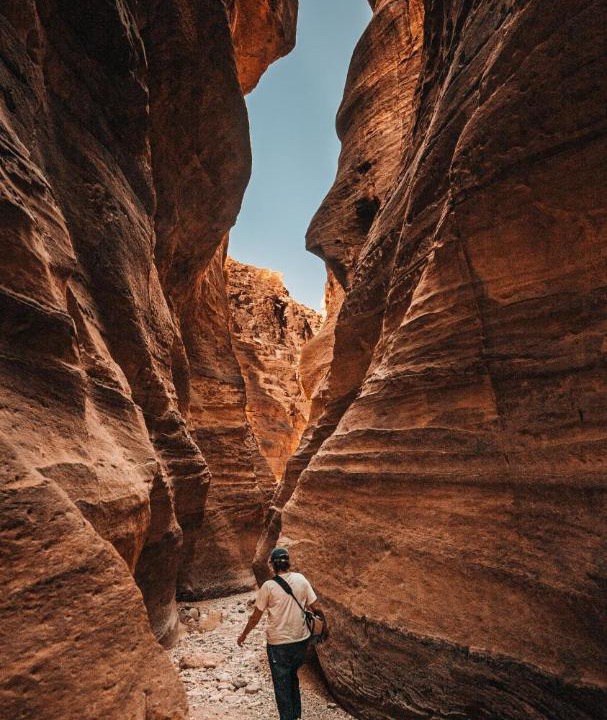 Photo of Human In Picture in Dana