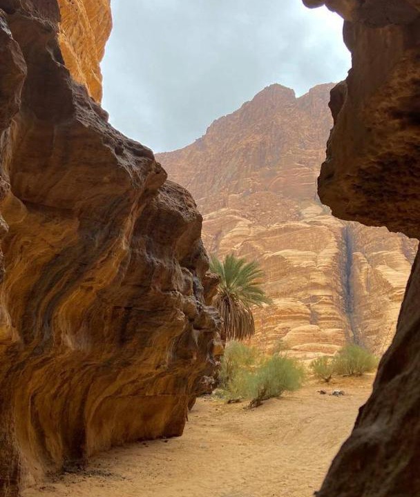 Photo of Others in Wadi Rum