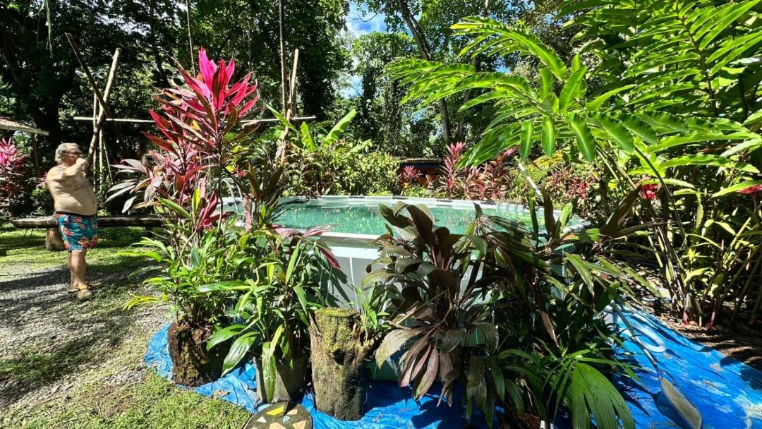 Photo of Others in Puerto Jimenez