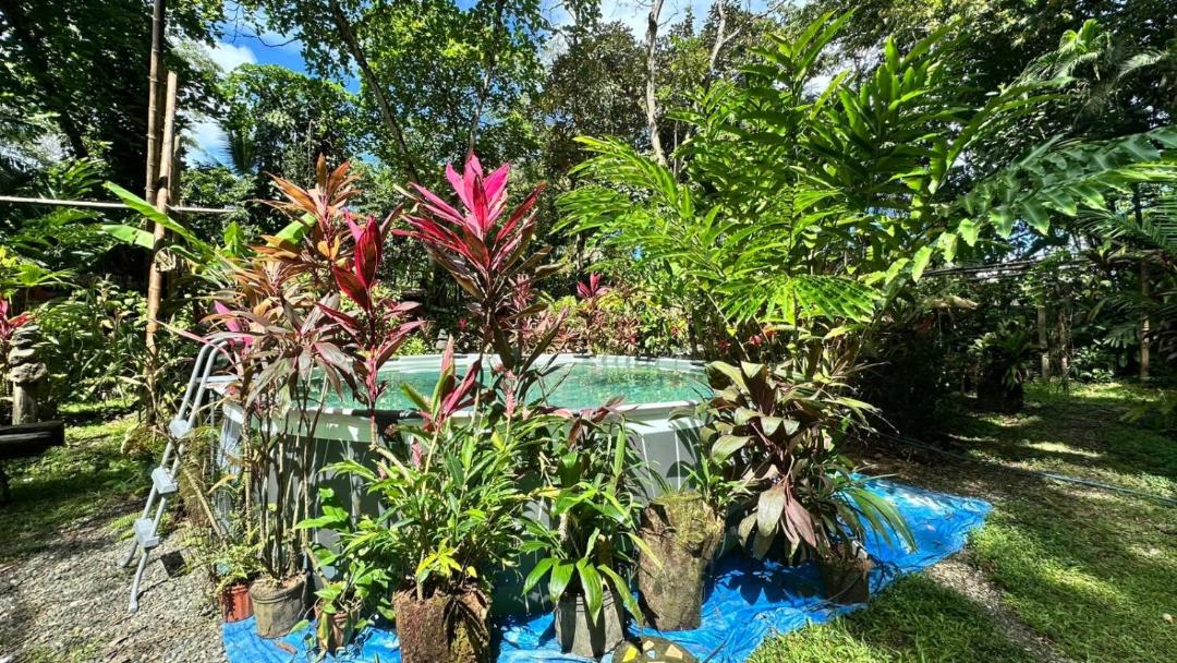 Photo of Others in Puerto Jimenez