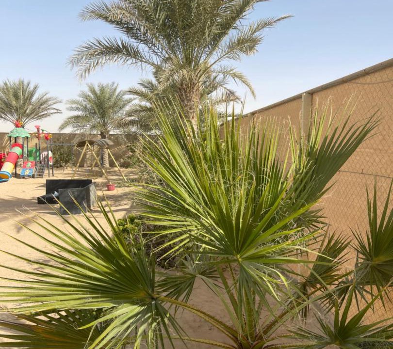Photo of Others in Abu Dhabi