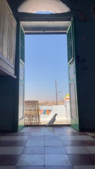 Photo of Others in Sohag
