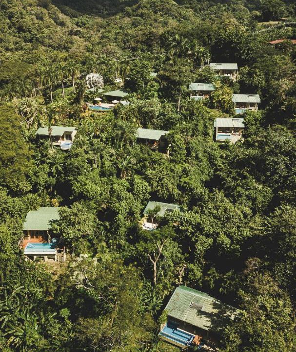 Photo of Others in Mal Pais