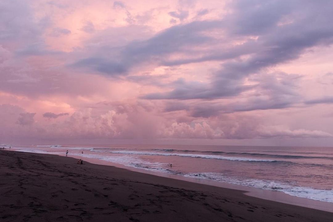 Photo of Others in Jaco