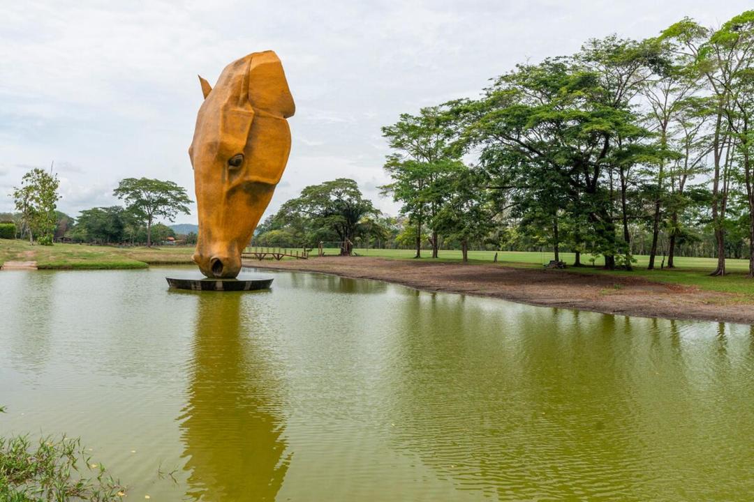 Photo of Others in Jaco