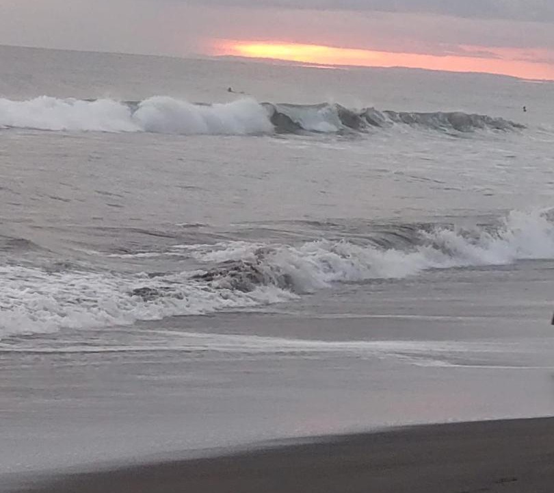 Photo of Others in Jaco