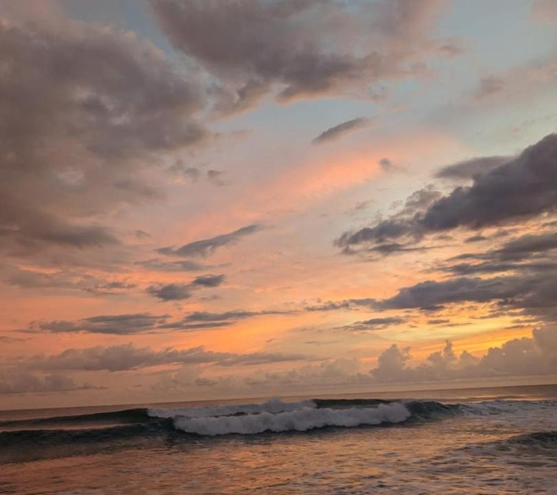 Photo of Others in Jaco