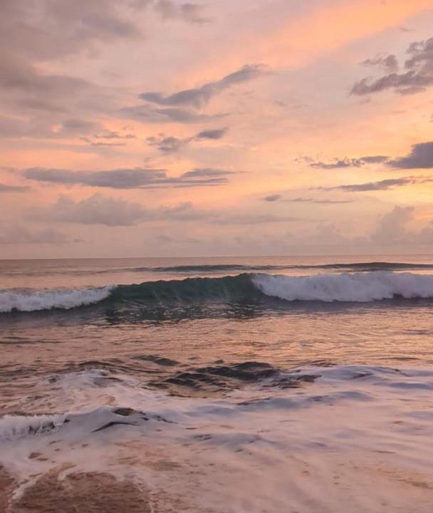 Photo of Others in Jaco