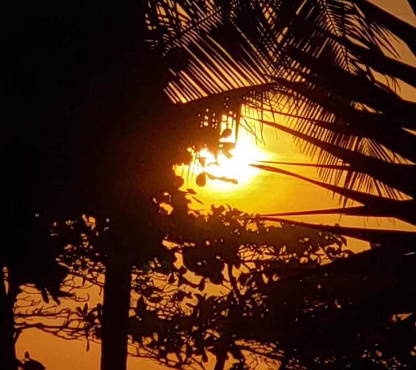 Photo of Others in Jaco