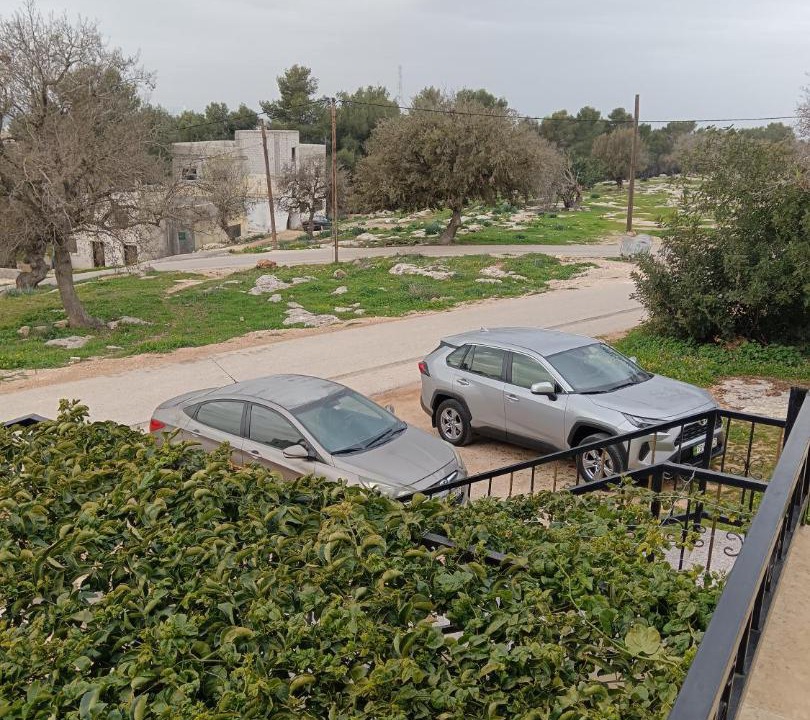 Photo of Others in Umm Qais