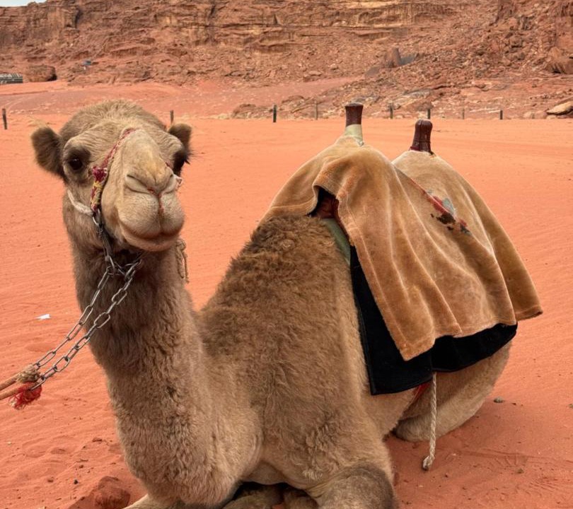 Photo of Others in Wadi Rum
