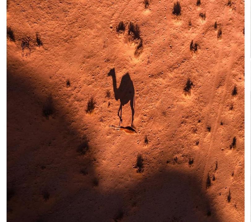 Photo of Others in Wadi Rum