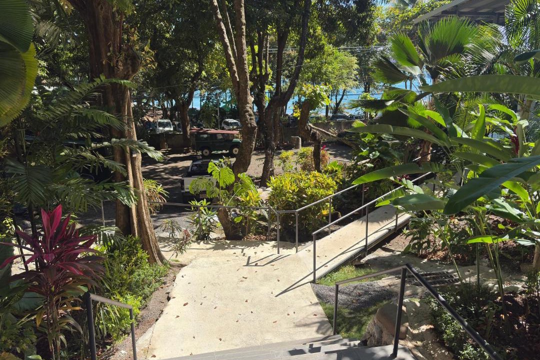 Photo of Others in Montezuma