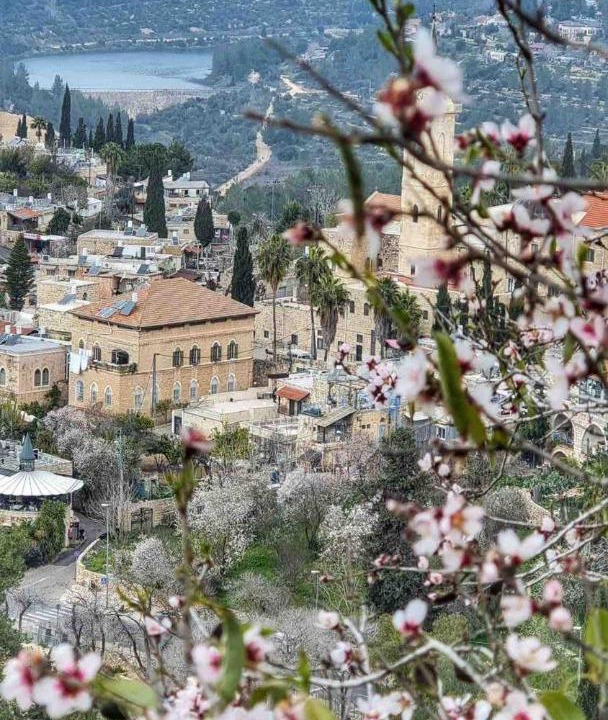 Photo of Others in Ein Karem
