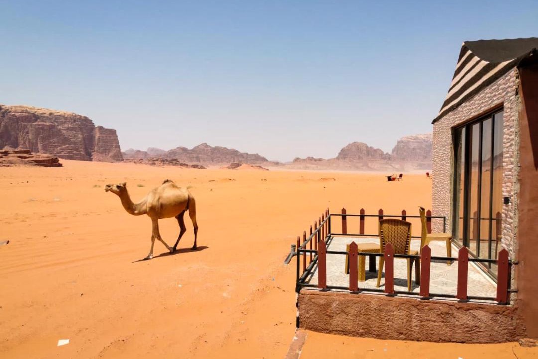 Photo of Others in Wadi Rum