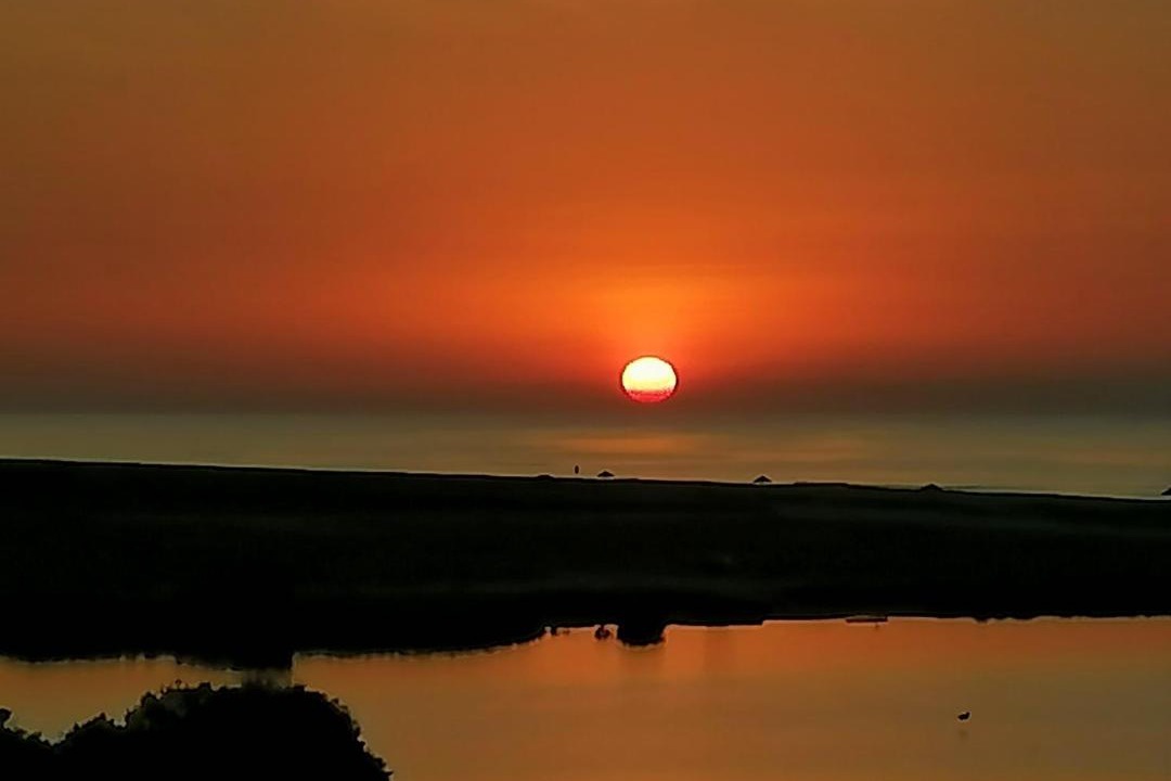 Photo of Others in Salalah