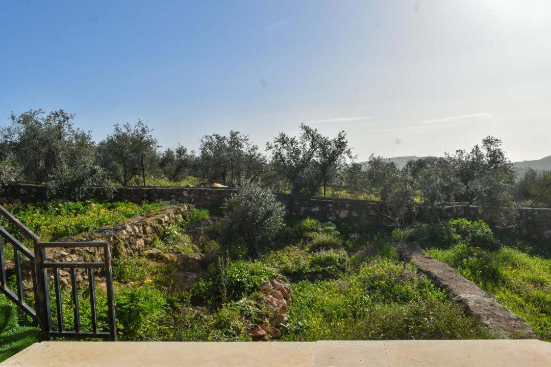 Photo of Others in Jordan