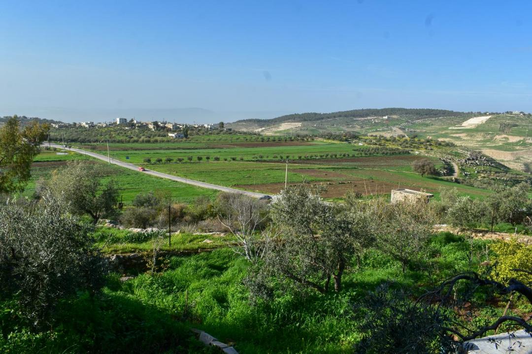 Photo of Others in Jordan