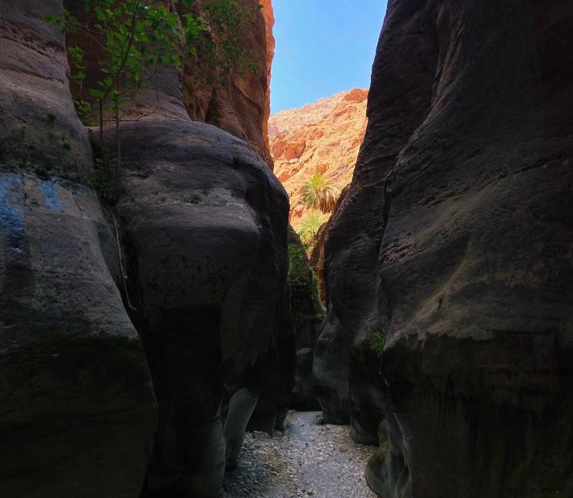Photo of Others in Dana