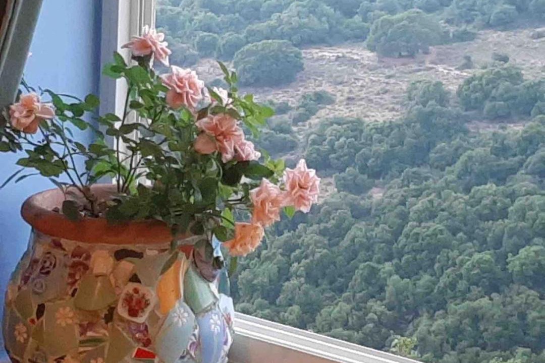 Photo of Patio Balcony in Mattat