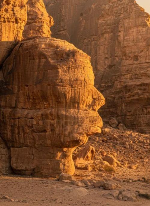 Photo of Human In Picture in Wadi Rum