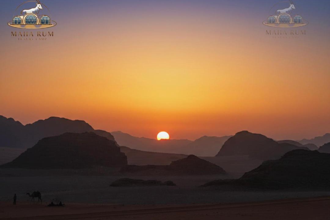 Photo of Others in Wadi Rum