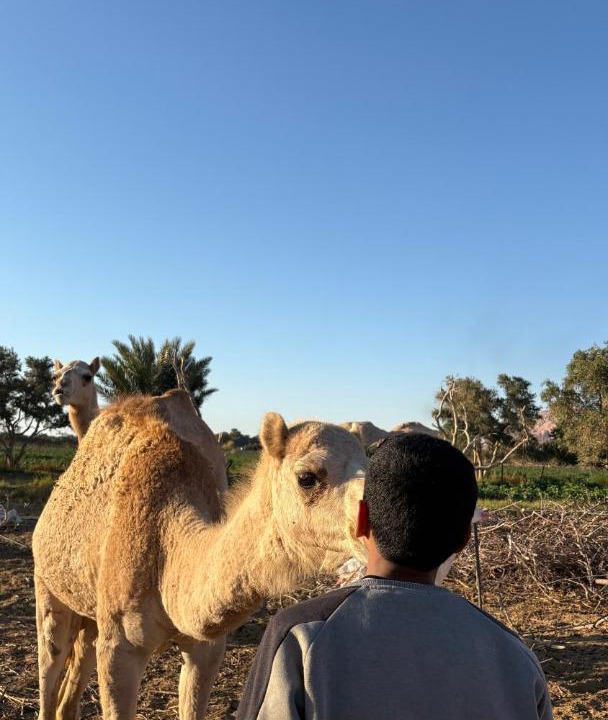 Photo of Others in Wadi Rum