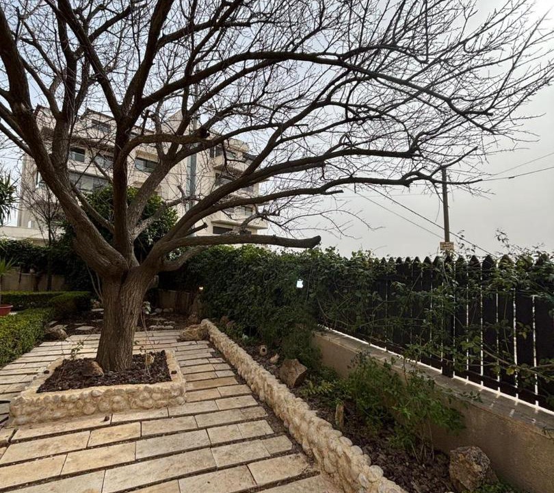 Photo of Others in Amman