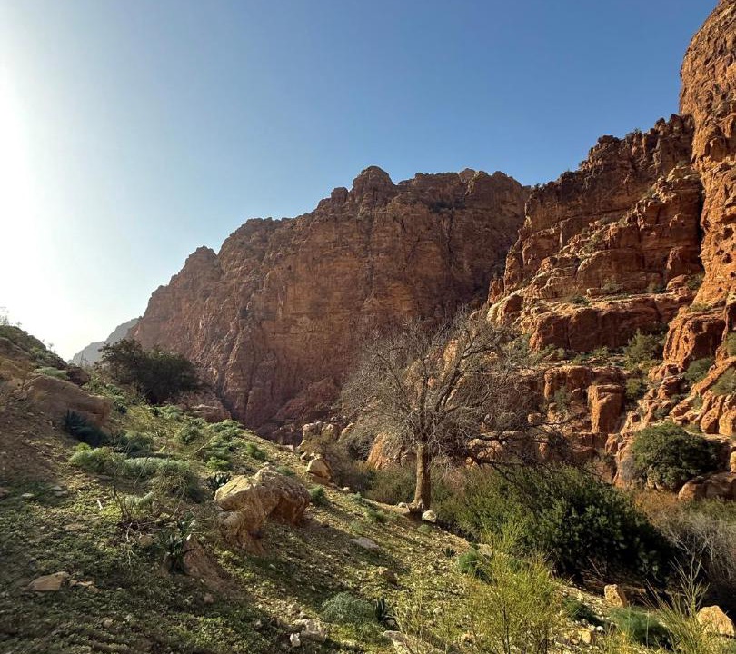 Photo of Others in Dana