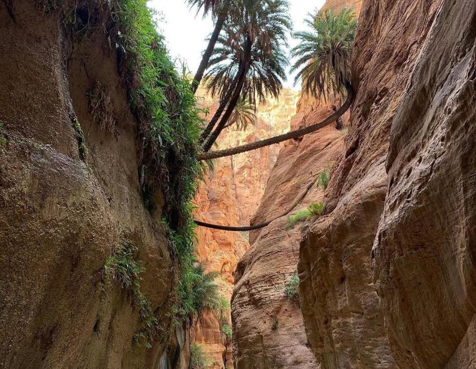 Photo of Others in Dana