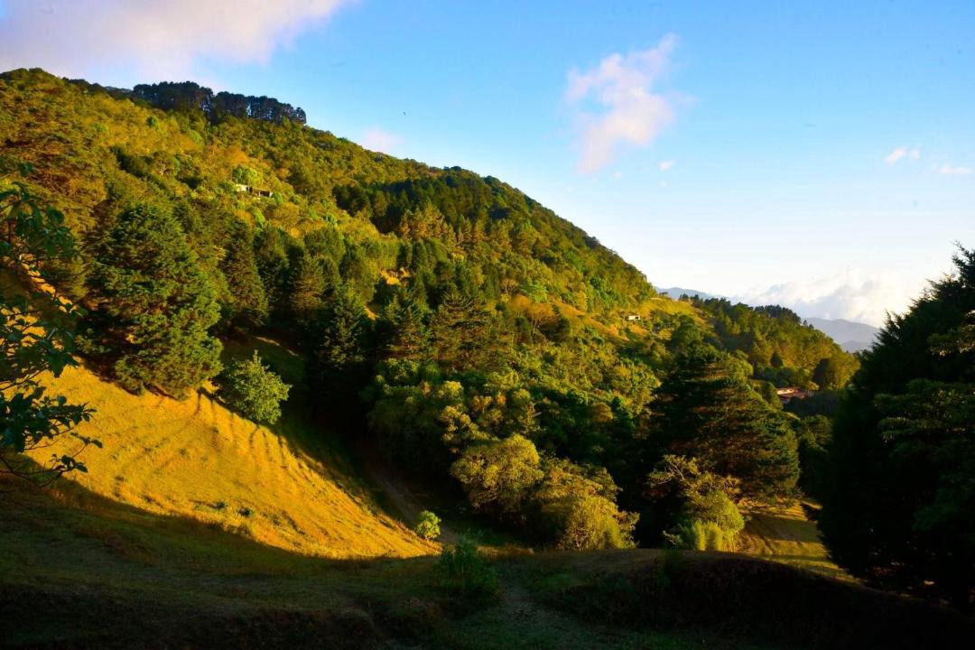 Photo of Others in Pan de Azucar