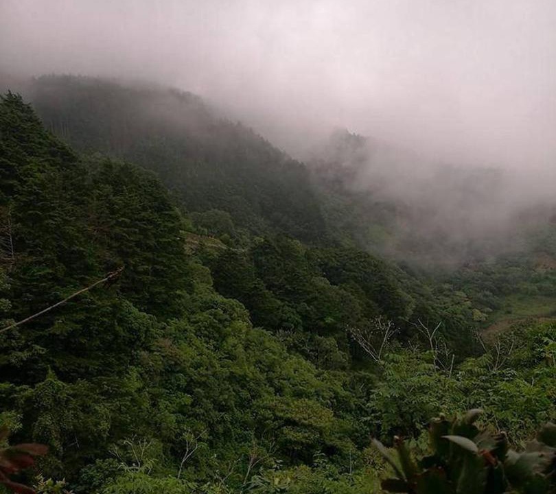 Photo of Others in Pan de Azucar