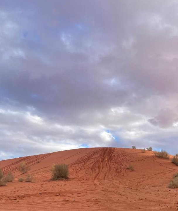 Photo of Others in Wadi Rum