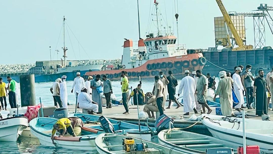 Photo of Human In Picture in Al Midayrah