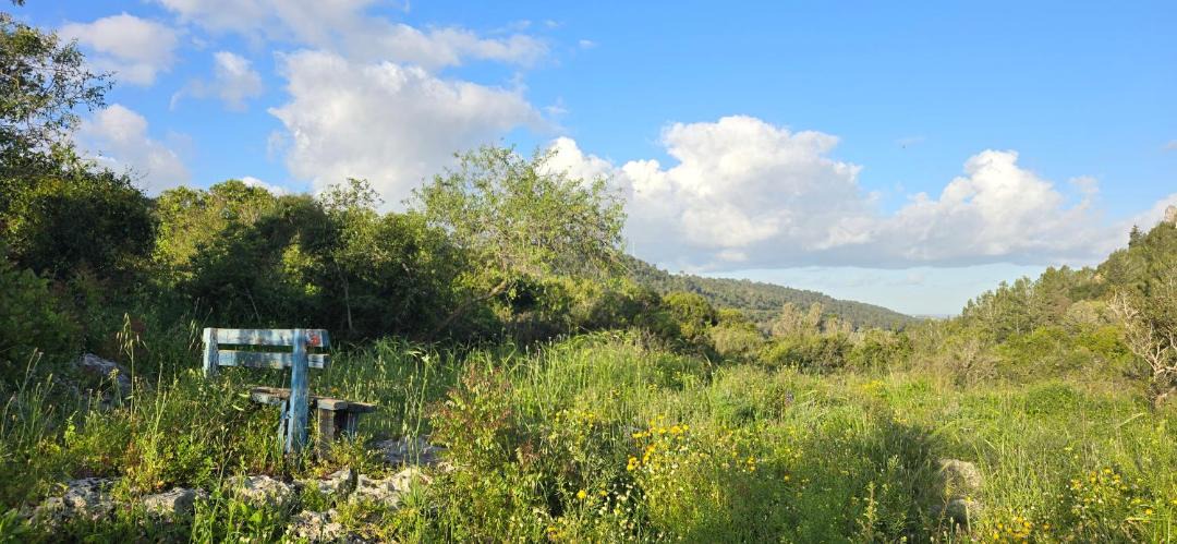 Photo of Outdoor in Kerem Maharal