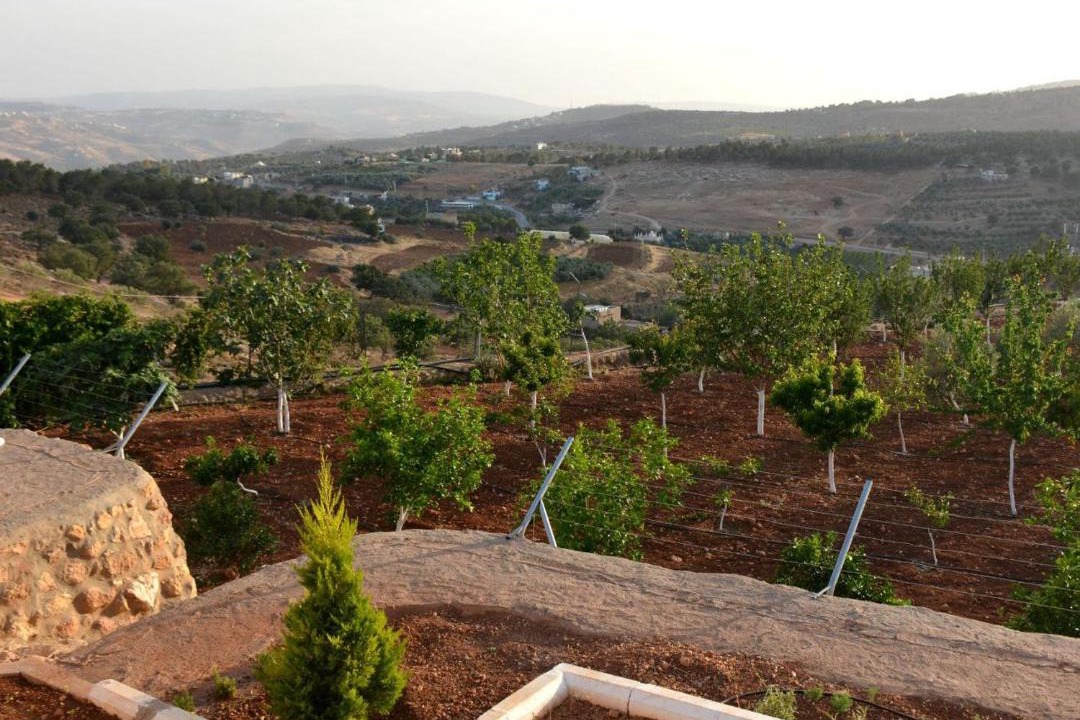 Photo of Others in Jerash