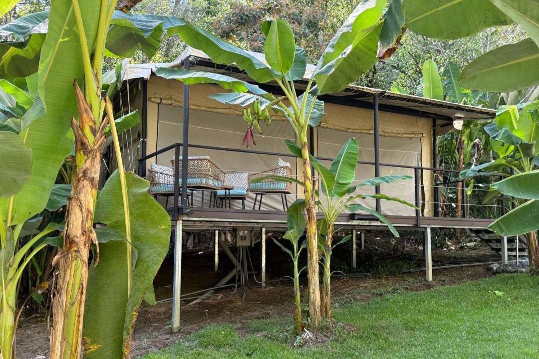 Photo of Others in Dominical