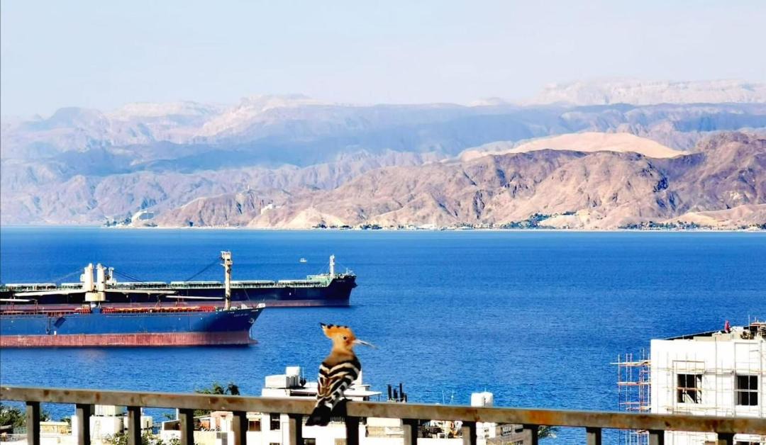 Photo of Others in Aqaba