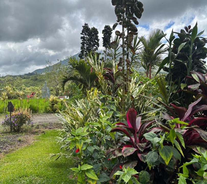 Photo of Others in Arenal Hot Springs