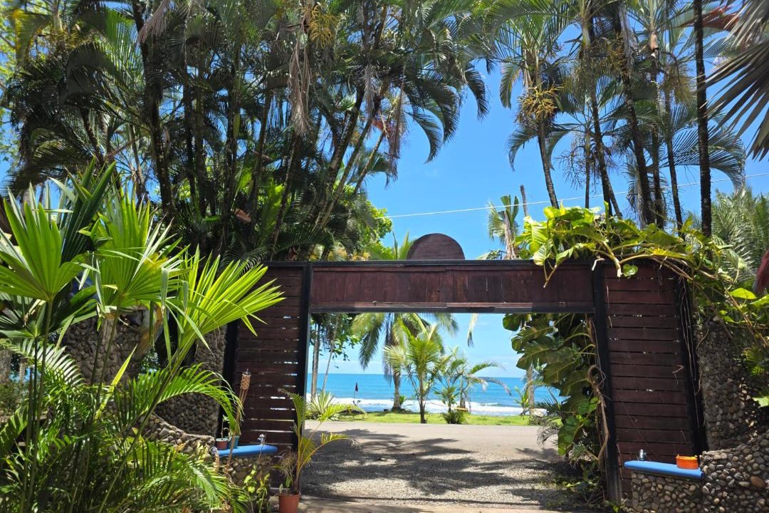 Photo of Others in Puerto Viejo de Talamanca